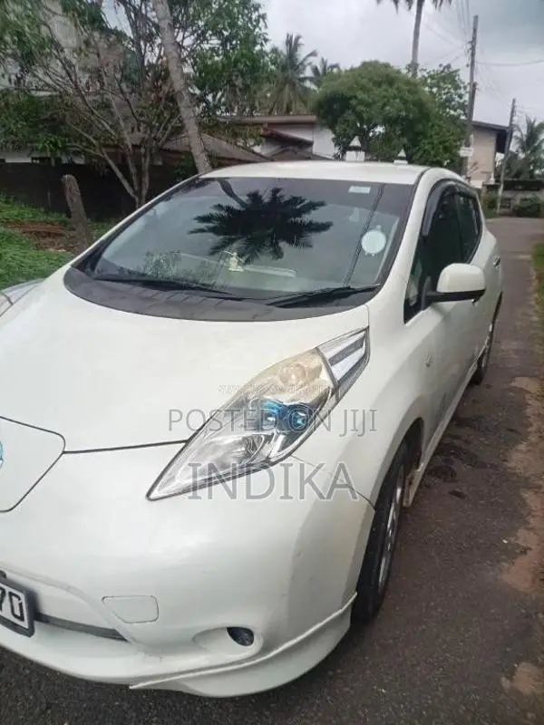 Nissan Leaf 2013 Car (Used)