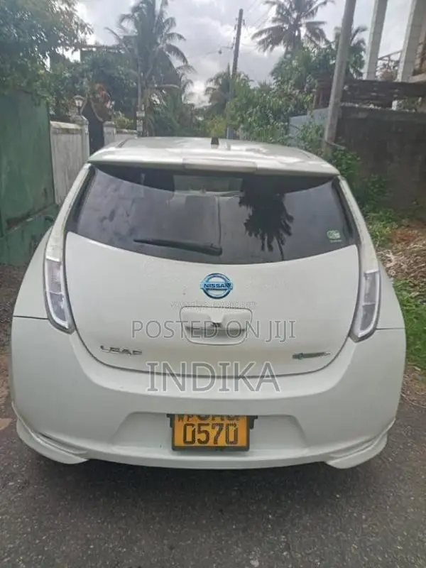 Nissan Leaf 2013 Car (Used)