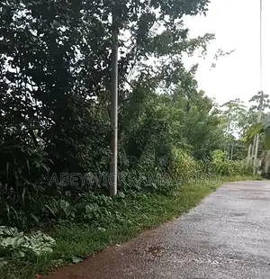 Land for Sale in Galle, Sri Lanka ( 1.5 Acre)