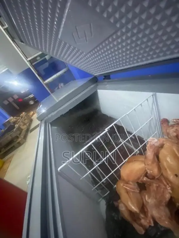 Singer Freezer