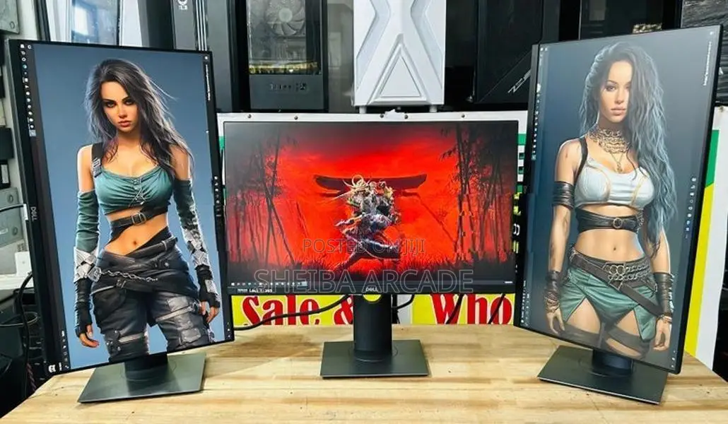 24 INCH DELL FRAMELESS MONITOR