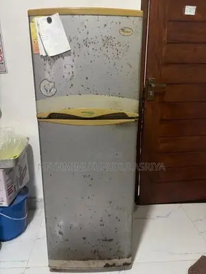 Whirlpool 164L Double Door Refrigerator