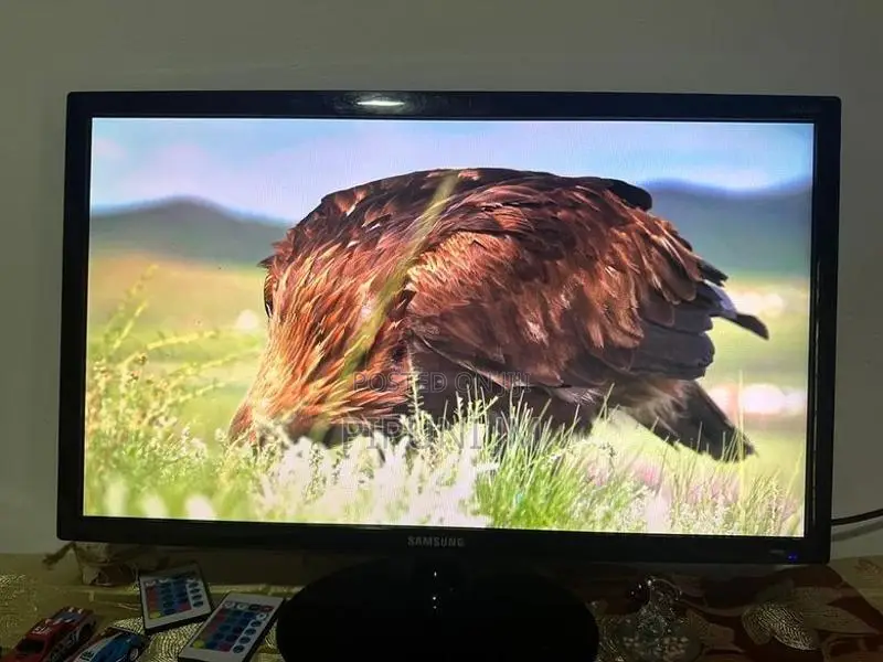 Samsung 24 Inch Monitor