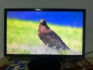 Samsung 24 Inch Monitor