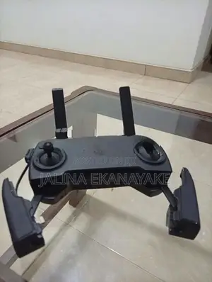 Dji Mavic Mini Drone