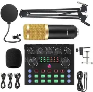 V8S Soundcard with BM800 Mic