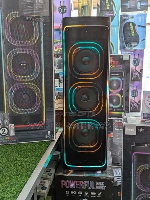 Brodu BTS - 2270 High Power Outdoor Speakers with Dual Mic