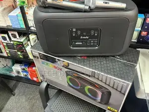 Brodu BTS 2492 Boom Box Party Speaker