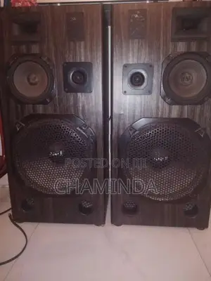 Speaker Pair