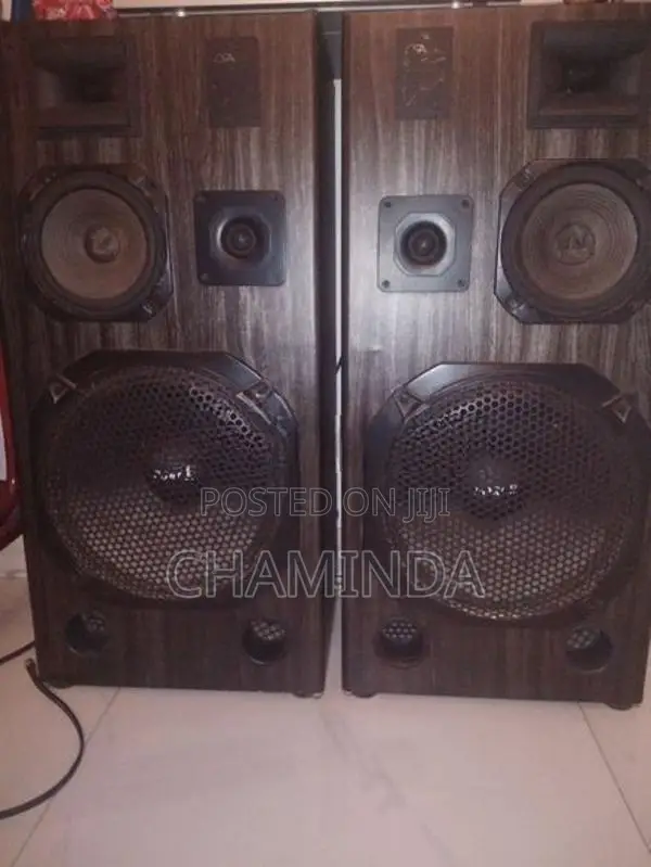 Speaker Pair
