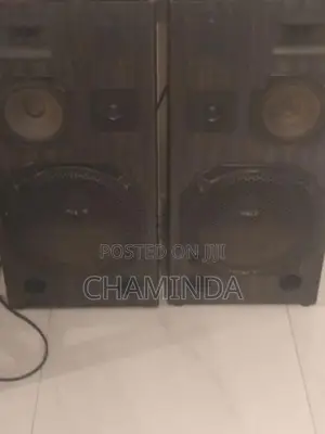Speaker Pair