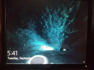 19 Inch Dell Monitor