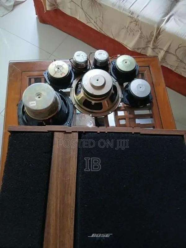 Bose 301 Speakers