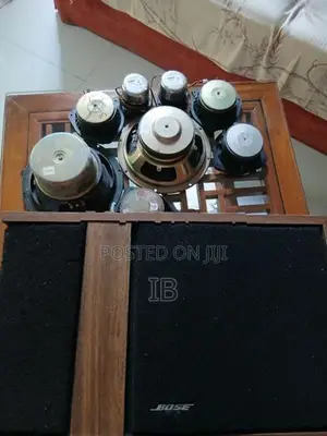 Bose 301 Speakers