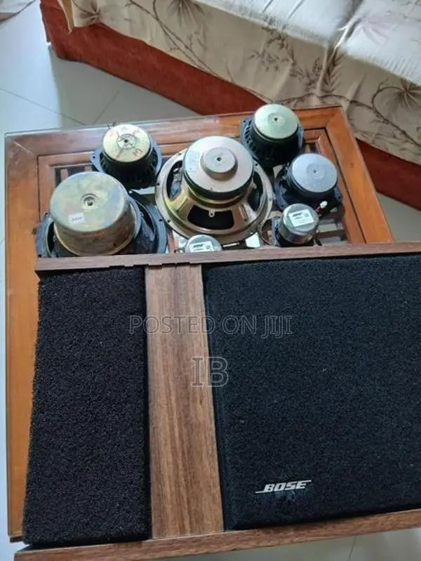 Bose 301 Speakers