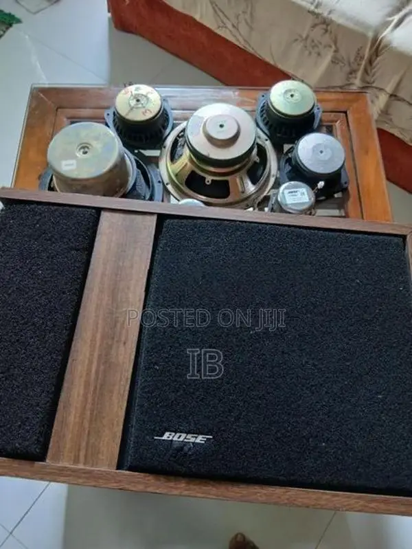 Bose 301 Speakers