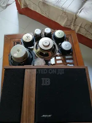 Bose 301 Speakers
