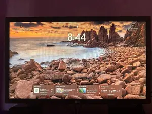 LG 24” HD LCD Monitor