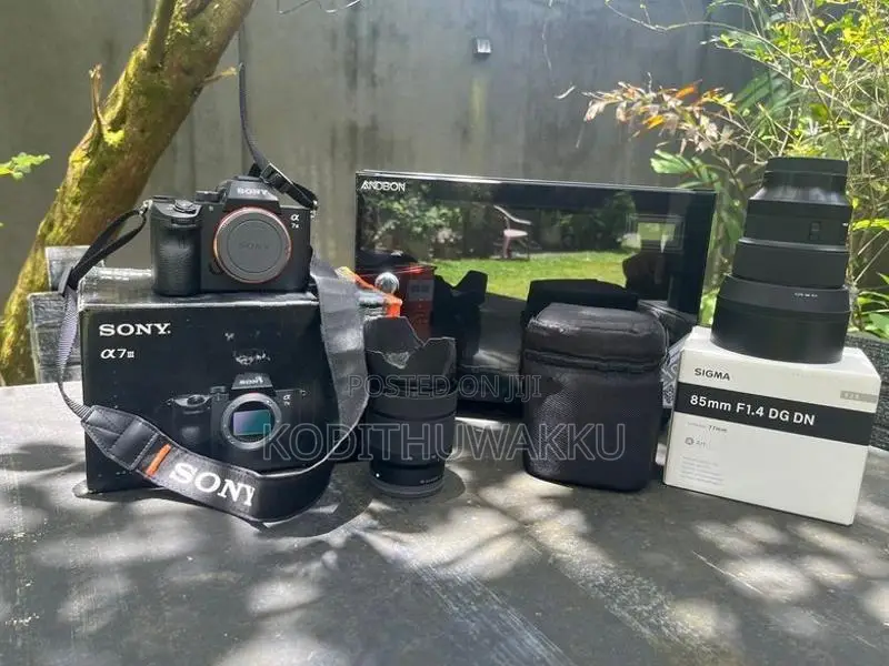 Sony A73 with Lens