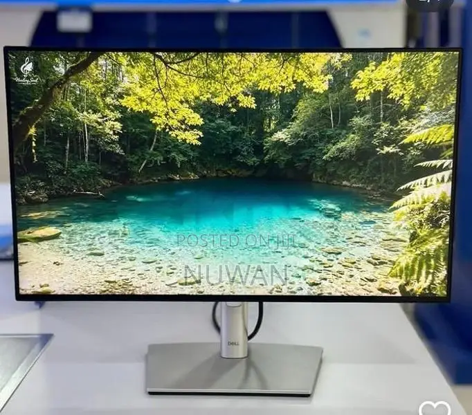Dell Ultrasharp Pro 24.9 Inch Ips Frameless USB Type C Monitor
