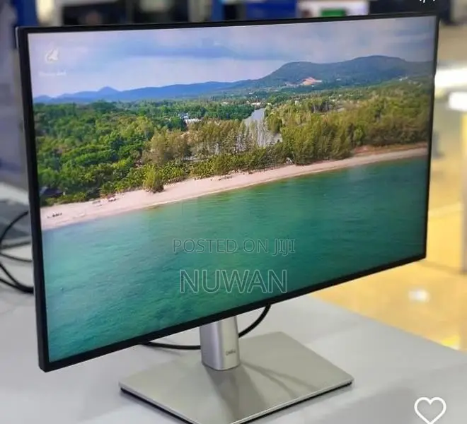 Dell Ultrasharp Pro 24.9 Inch Ips Frameless USB Type C Monitor