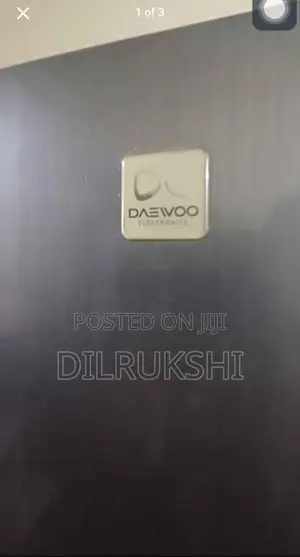 Dewoo Large Size Fridge