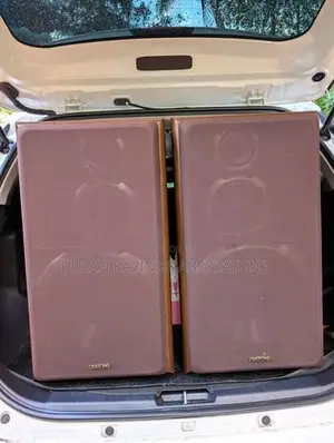 Diatone DS-77HR 12" High-End Vintage Hi-Fi Speaker Pair Japan Imported