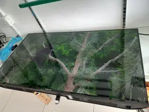 Singer 40'' LED Tv