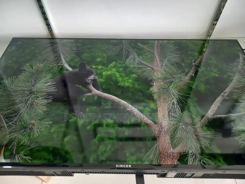 Singer 40'' LED Tv