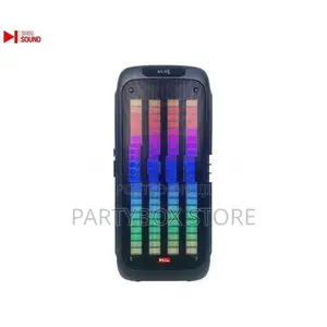 Swiss Sound SS-819 Outdoor Party Speakers With Dual Mic (AC/DC)