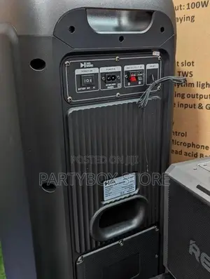 Swiss Sound SS-819 Outdoor Party Speakers With Dual Mic (AC/DC)