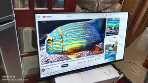 Singer Smart 43"Tv