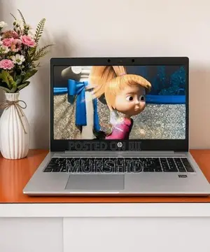 HP Probook 455 G7 AMD Ryzen 5 4500u