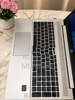 HP Probook 455 G7 AMD Ryzen 5 4500u