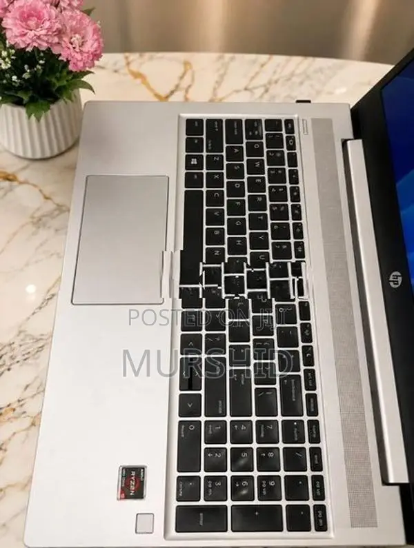 HP Probook 455 G7 AMD Ryzen 5 4500u