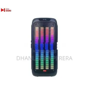 Swiss Sound SS - 819 Outdoor Party Speakers With Dual Mic (AC/DC)
