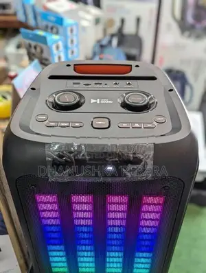 Swiss Sound SS - 819 Outdoor Party Speakers With Dual Mic (AC/DC)