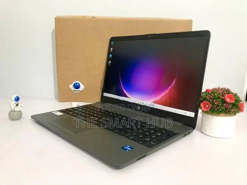 HP Core i5 11th Gen 8GB RAM 1TB HDD Professional Laptop