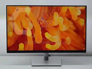 Dell P2422H Full HD IPS 60 Hz sRGB Monitor USED 23.8" (MFD 2022)