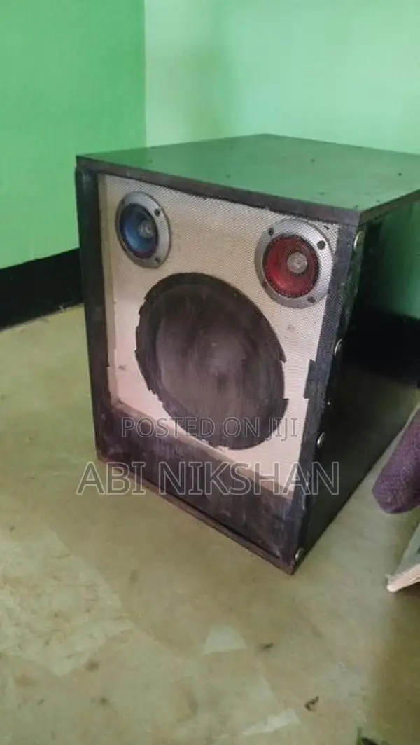 Speaker With Amplifier