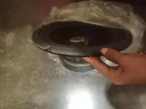 Pioneer Bass Speaker
