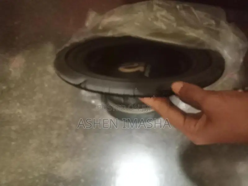 Pioneer Bass Speaker