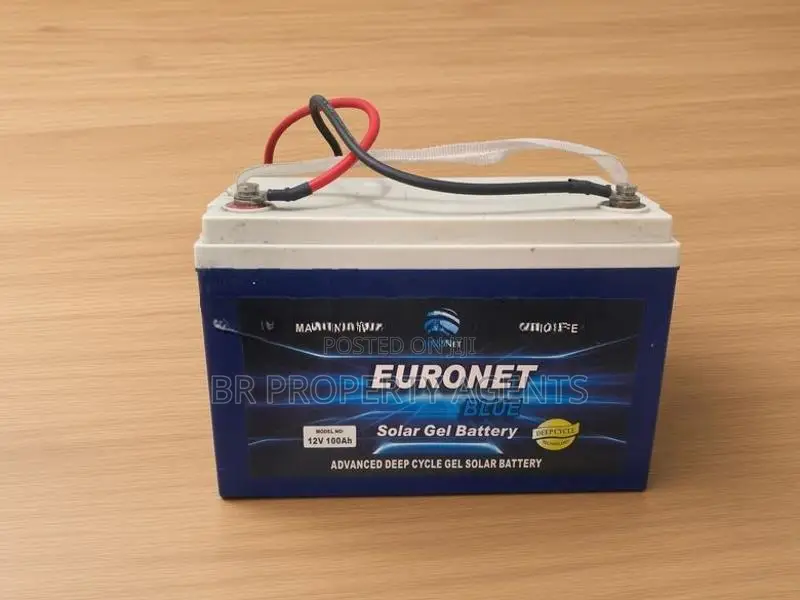 Microtek Inverter + Euronet 100Ah Deep Cycle Gel Battery Set