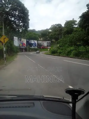 Driving Lessons