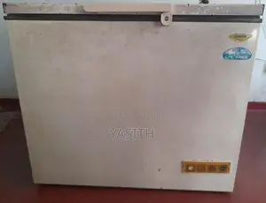 Faulty Singer Deep Freezer 225L