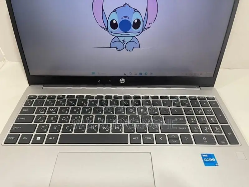 HP i5 13th GEN Laptop