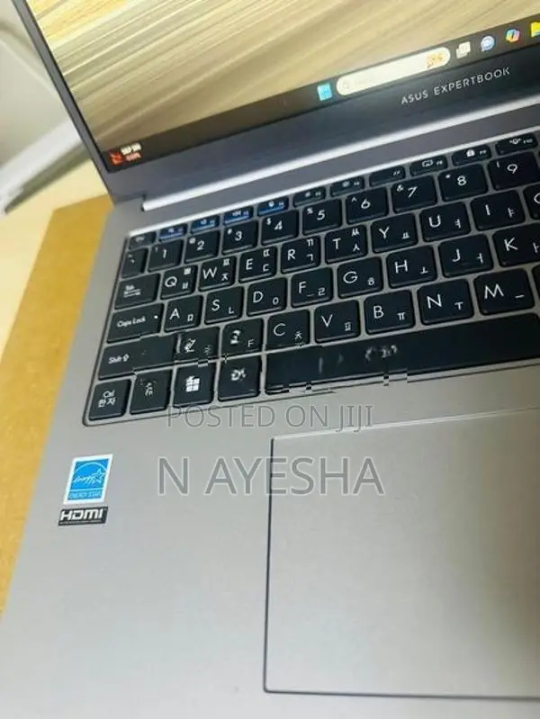 Asus ExpertBook P1(i5 14th GEN)