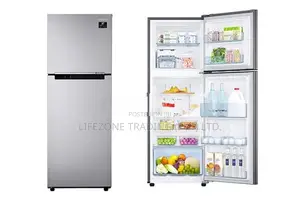 Samsung 253L Double Door Inverter Refrigerator (RT40)