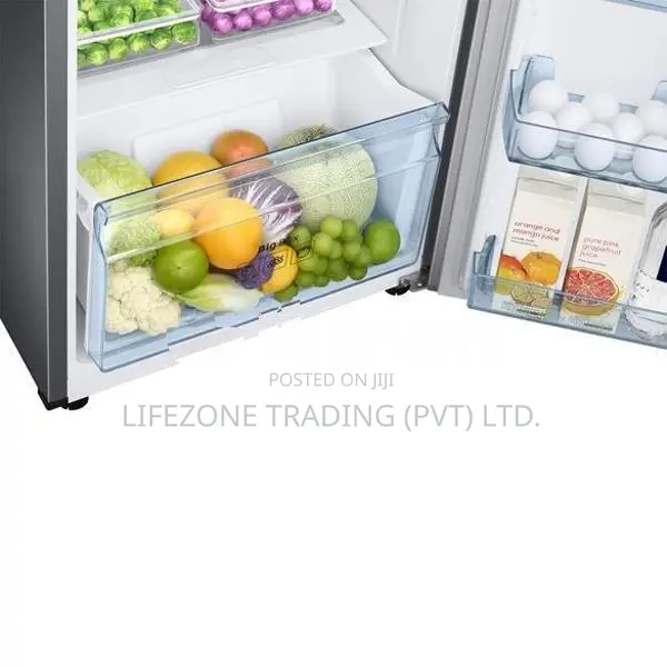 Samsung 253L Double Door Inverter Refrigerator (RT40)