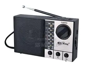 PX-55BT PORTABLE MULTIBAND RECHARGEABLE USB RADIO SPEAKER